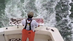 **NOW BOOKING** Stripers / Blues / Sea Bass / Fluke / Scup -Call Today! *Fishing Daily From Cedar Island Marina, Clinton CT https://www.rockandrollcharters.com/ 203-314-3765 #rockandrollcharters #ct #connecticut #fishing #ctfishing #longislandsound #boats #charterboat | Rock and Roll Charters