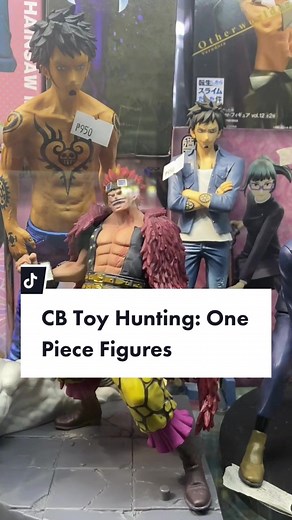 Collective Base Toy Hunting: One Piece Figures #collectivebase #collectinglife #greenhills