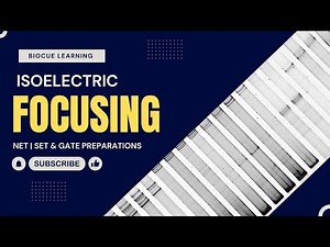 Isoelectric Focusing