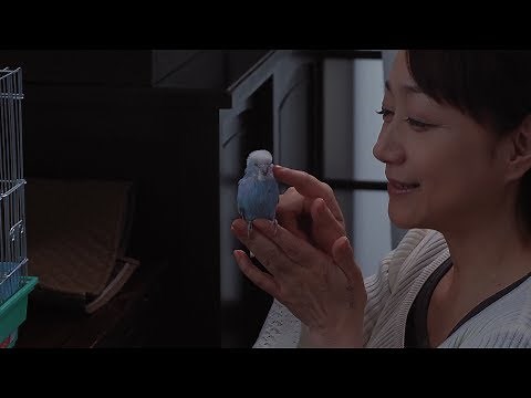 映画「父の愛人」予告編