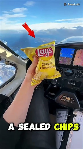 chips in plane #plane #chips