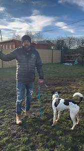 280K views · 3.1K reactions | You Must Understand This If You Let Your Dog Play You can find more socialising videos on the Southend Dog Training App https://qrco.de/be9QFN #dogtrainer #viral | Southend Dog Training | Facebook