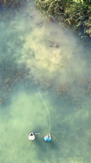 Henry Hiscox | You know the saying ‘there’s plenty more fish in the sea’? Well what happens when you’ve cast at all the fish in the ‘sea’ and you’ve been... | Instagram