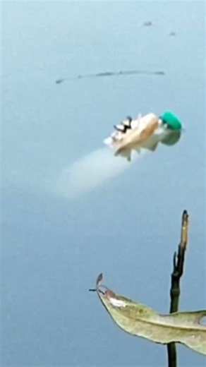 langsung slup #shorts #mancing_ikan_belanak #pake_botol