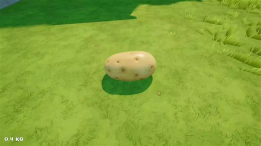 ！！！！！！！！！！！！！！