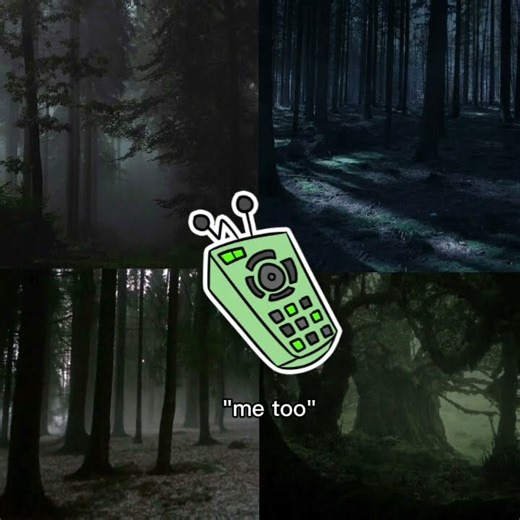 shellvision🐚 📺 || ST4R ||