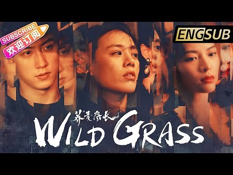 【ENG SUB】《荞麦疯长/Wild Grass》马思纯 钟楚曦 黄景瑜为爱疯狂【捷成华视华语电影】