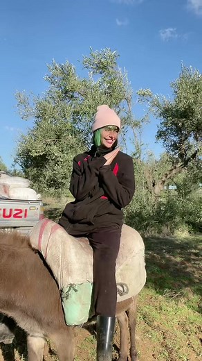 Riding a Donkey: Outdoor Adventure Experience