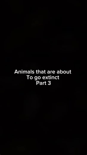 Animals that are about to got extinct part 3