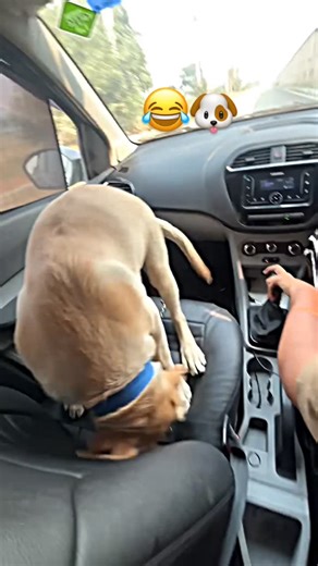 Chaudhary🦁 on Instagram: "Ojo ❤️✅"