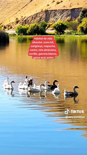 Explore Hart Memorial Park in Bakersfield, California