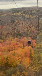 4.4K views · 139 reactions | Nothing beats fall in Minnesota  #fall #minnesota #mn #mnfall #fallcolors #autumn #fallinminnesota # | Minnesota Bound | Facebook