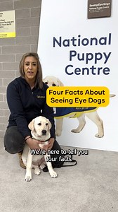 18 reactions · 4 comments | Joy, freedom, love. Seeing Eye Dogs provide independence and companionship for Australians who are blind or have low vision. ​ Here’s Senior Puppy Development Trainer Kim and Flossie from @seeingeyedogsaustralia​ to tell us all about it. ​  ​ Donate in store or click on this link to support our appeal. ​ https://rb.gy/7zk1s ​ #Trainupapup #visionaustralia #petbarnfoundation | Petbarn | Facebook