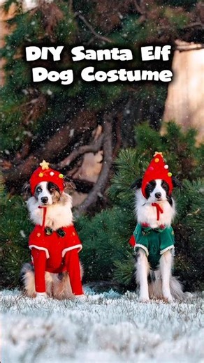 DIY Santa Elf Dog Costume | Christmas Outfit for Dogs
