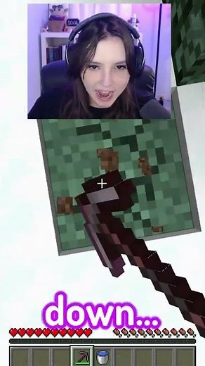 Minecraft But I Dig Straight Down...