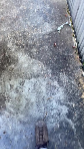 Exploring the Majestic Matterhorn in the Swiss Alps