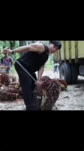 Perbandingan Berat Barbell Bench Press 50kg dan Sawit
