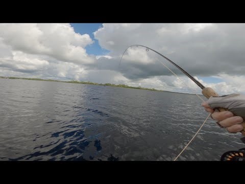 HUGE BROWN TROUT!! FLY FISHING For WILD BROWN TROUT On LOUGH CORRIB!!