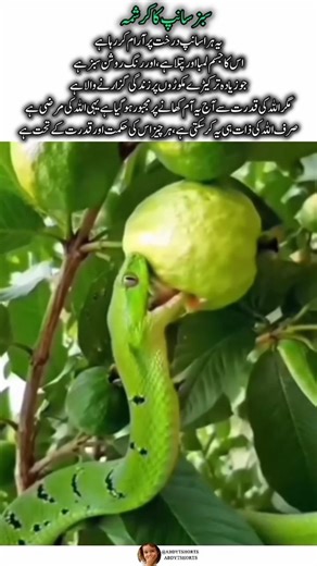 The Miracle of the Green Snake #shortsfeed