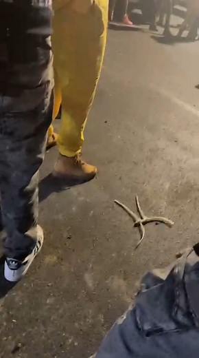 809K views · 2.3K reactions | CAUGHT ON CAMERA: According to the FBI’s San Antonio office, federal agents carried out a court-authorized operation Sunday morning around 2:00 a.m. near the intersection of San Pedro Avenue and Basse Road. https://bit.ly/44dfqYu | KABB FOX 29 News, San Antonio | Facebook