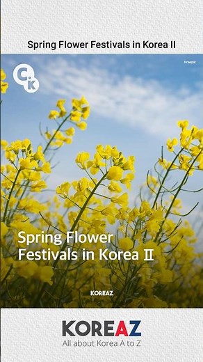 Spring Flower Festivals in Korea II