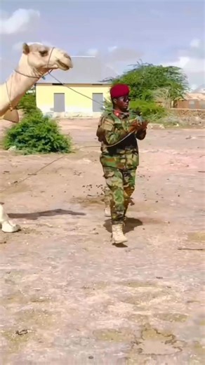 Ali Farah Mohamed Bilaal on Reels