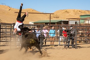 Watch Exclusive 'Jackass Forever' Featurette: Bear