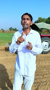 मैंने सरसों में TSP Fertilizer इस्तेमाल किया, फसल बनी मजबूत और yield हुई बेहतर! 🌼 👉अब देर किस बात की…आप भी इस बार अपनी मिट्टी को दीजिए Phosphorus का dose -TSP के साथ। #tsp_fertilizer #triplesuperphosphate #agriwithtsp #phosphate #fertilizer #phosphatefertilizers#soilhealth #sarsokikheti | Desh ki jaan hamare kisan