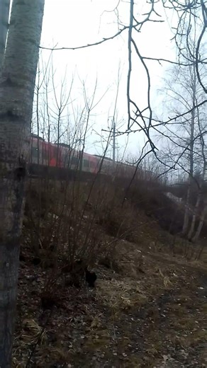 эс104 проезжает безымянный мост