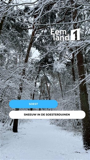 In de categorie: beter laat dan nooit… Afgelopen woensdag gold code oranje in het Eemland. Het was nogal aan de gure kant. Ook dit weekend beloofd weer flink koud te worden. Hoog tijd voor een sfeerreportage. Bekijk een hele reportage in EemlandNU van aankomende week óf luister naar het radio-verslag van afgelopen donderdag via de link in de Bio!! #sneeuw #codeoranje #storm #soesterduinen #fyp