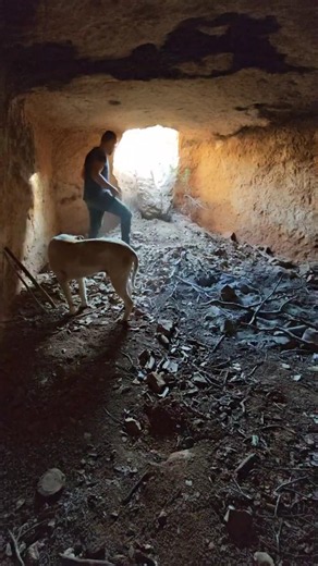 Discovering a Hidden Underground Shelter with My Dog 🐺 Off-Grid Camping #shorts