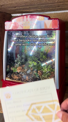Unique Terrariums with Birth Certificates for Your Home
