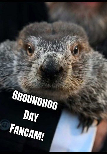 Groundhog Day Fancam: Predictions for 2026 Revealed
