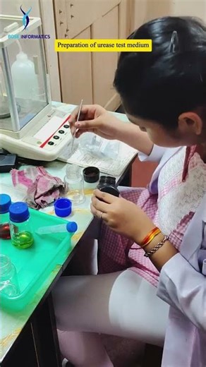 Urease Test Microbiology Bose Informatics Biotech Internship Kolkata