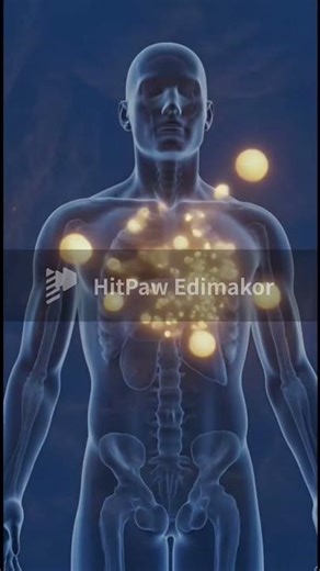 Pumpkin Seeds & Hormone Balance 🎃