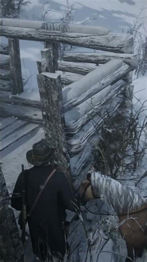 Cheat Code Location Hidden In Snow In RDR 2 #rdr2