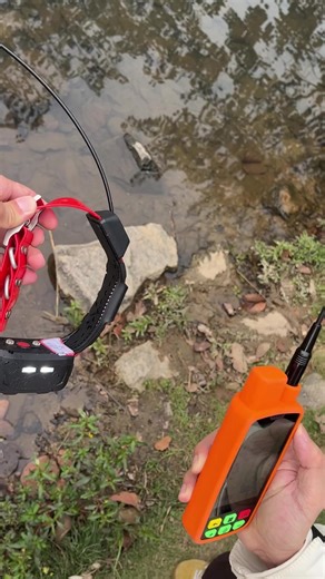 🌊 Underwater? eSEEK Tracks On! IP68 waterproof certified—10m immersion, 24h non-stop tracking. No signal loss, no device failure. Your hound swims, we follow!#eseek #huntingdog #localizzatore #Hunting #Posizionatore