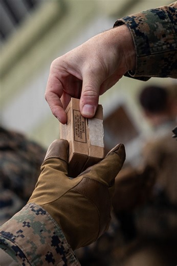 U.S. Marines with 3/12 Hold a Formation for Promotions and Awards during KMEP 26.1