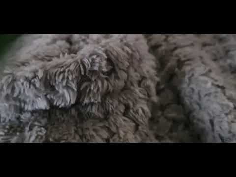 Fireman sam heroes of the storm ferdinand dvd wonnie portable player version 5 johnthemonsterhighfan