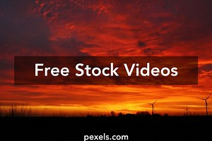 Usain Bold Videos, Download The BEST Free 4k Stock Video Footage & Usain Bold HD Video Clips