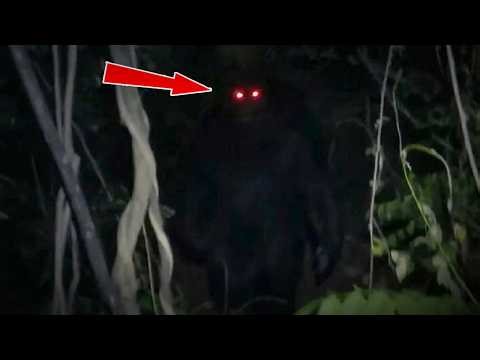 the Most DISTURBING Bigfoot Encounters Caught on Camera while Camping