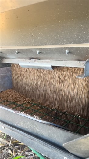 Dare ya— drill your wheat (with humic). #soilhealth #kansaswheat #humicacid #strobergfamilyfarms #dare | Stroberg Soil Solutions