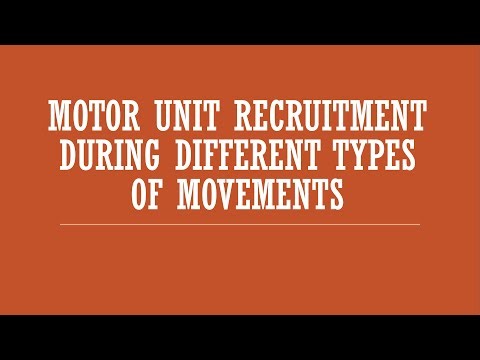 Motor Unit Recruitment During Different Types of Movements