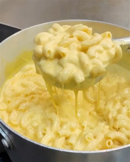 The Angry Chickz on Reels