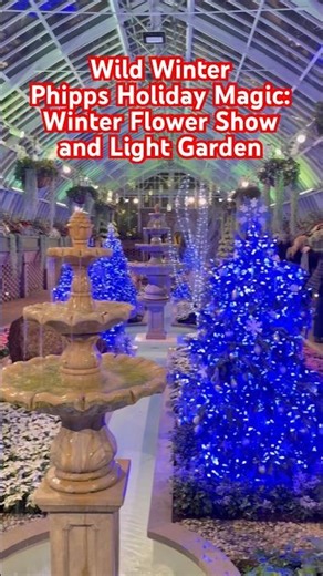 Phipps Conservatory Holiday Magic: Winter Flower and Light Garden in Pittsburgh for Christmas