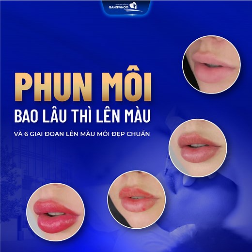 Phun Môi Bao Lâu Thì Lên Màu Và 6 Giai Đoạn Lên Màu Môi Đẹp Chuẩn