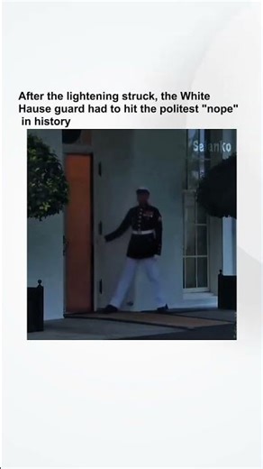 marine vs lightning: the calmest reaction you’ll ever see ⚡🫡🇺🇸