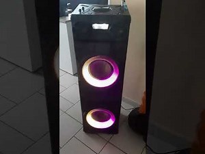 Enceinte sono edenwood megasound