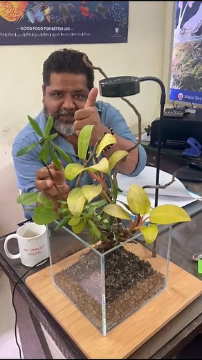 Thank you so much, Mayur Dev Sir. 🙏🏻 I truly appreciate the valuable feedback shared in your video. Your guidance, knowledge, and dedication have always been a great source of inspiration for me. I’m genuinely grateful for the time and effort you invest in sharing your experience with us. Thank you for your constant support and motivation, Sir. It truly means a lot. . . . . . . #altum_x #mayurdevaquascaper | AltumX