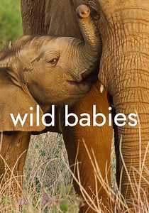 Wild Babies - watch tv show streaming online